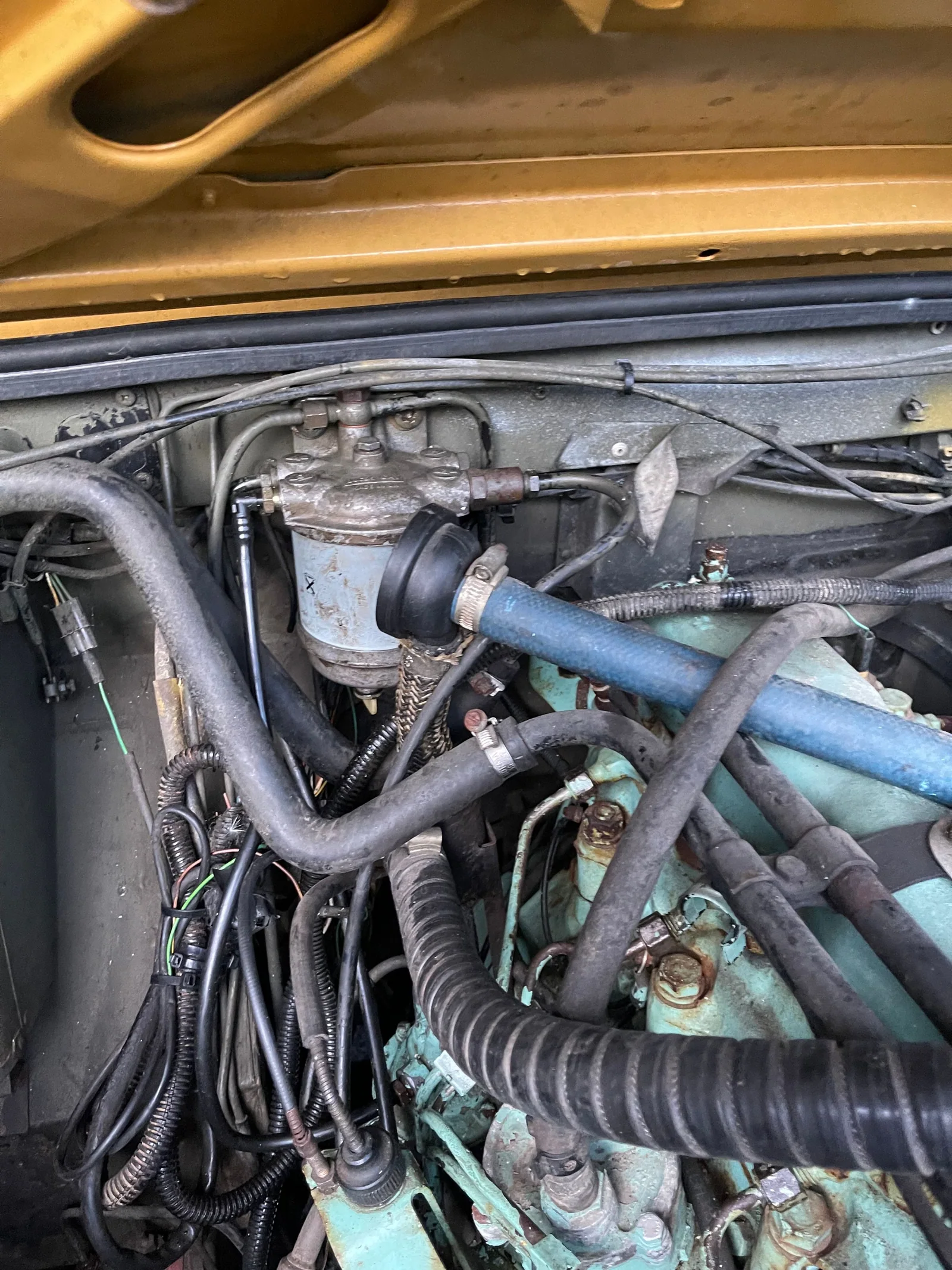Close-up of the fuel filter, hoses and engine-bay wiring